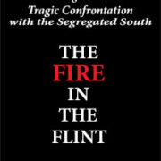 Book Cover with Text the Fire in the Flint